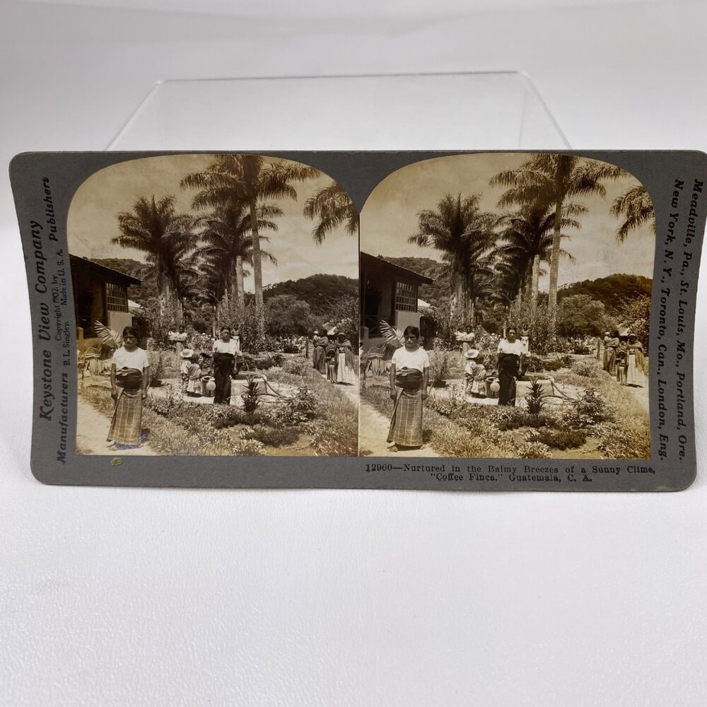 Antique 1905 Stereoview Photo Card Women Children Coffee FINA Guatemala C. A. - Picture 2 of 7